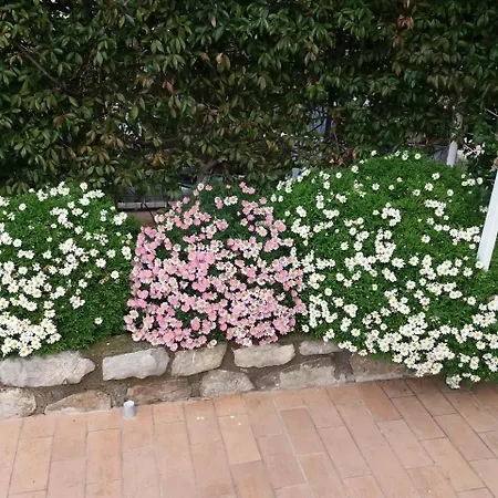 Garden On The Sea Bed & Breakfast